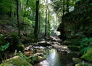 Culinary visit to the Verenaschlucht