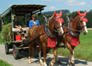 Fondues, grillades et promenades en calèche dans l'Emmental