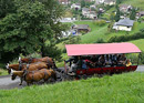 Kutschenfahrt am Vierwaldstättersee