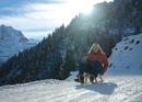 Plaisir de la luge dans l'Oberland bernois