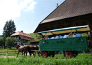 Kutschenfahrt durchs Emmental mit Essen