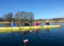 Team rowing