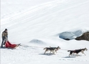 Circuit avec des chiens de traîneau en Suisse centrale