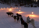 Sortez du bureau et vivez une aventure unique avec des Huskies