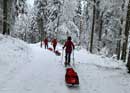 Snowshoe hike in the Jura