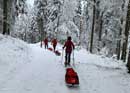 Aventure en raquettes à neige et pulka