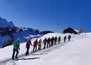 Randonnées en raquettes à neige dans le pays d'Appenzell