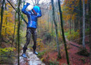 Training de survie dans la nature