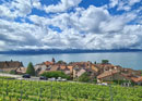 Tour des vins de Lavaux avec assiette froide