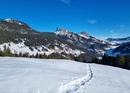 Winter team experience: snowshoe tour