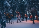 Winterwald-Erlebnisse für Teams