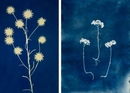 Kreativ-Workshop: Magische Bilder in Cyanblau